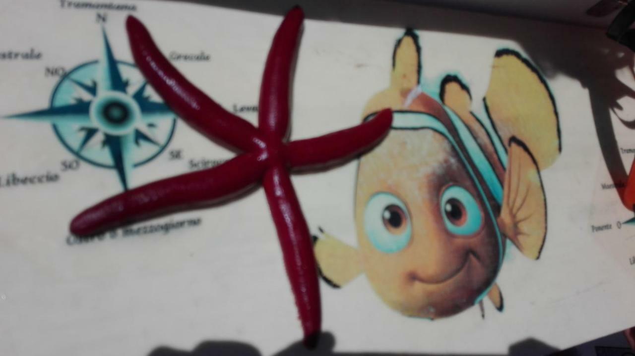 Lido di Noto Nemo Mare 아파트 외부 사진